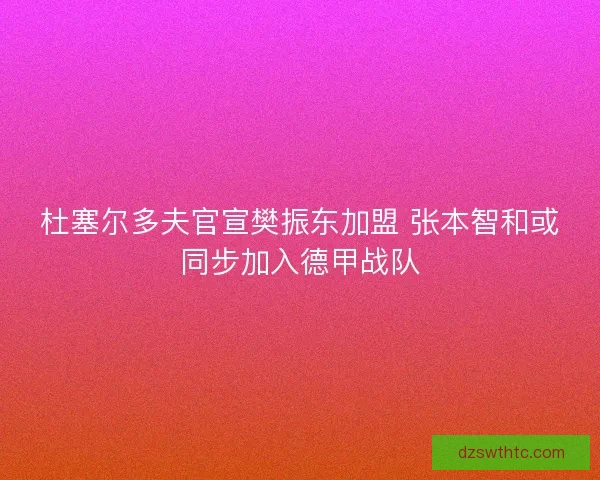 杜塞尔多夫官宣樊振东加盟 张本智和或同步加入德甲战队